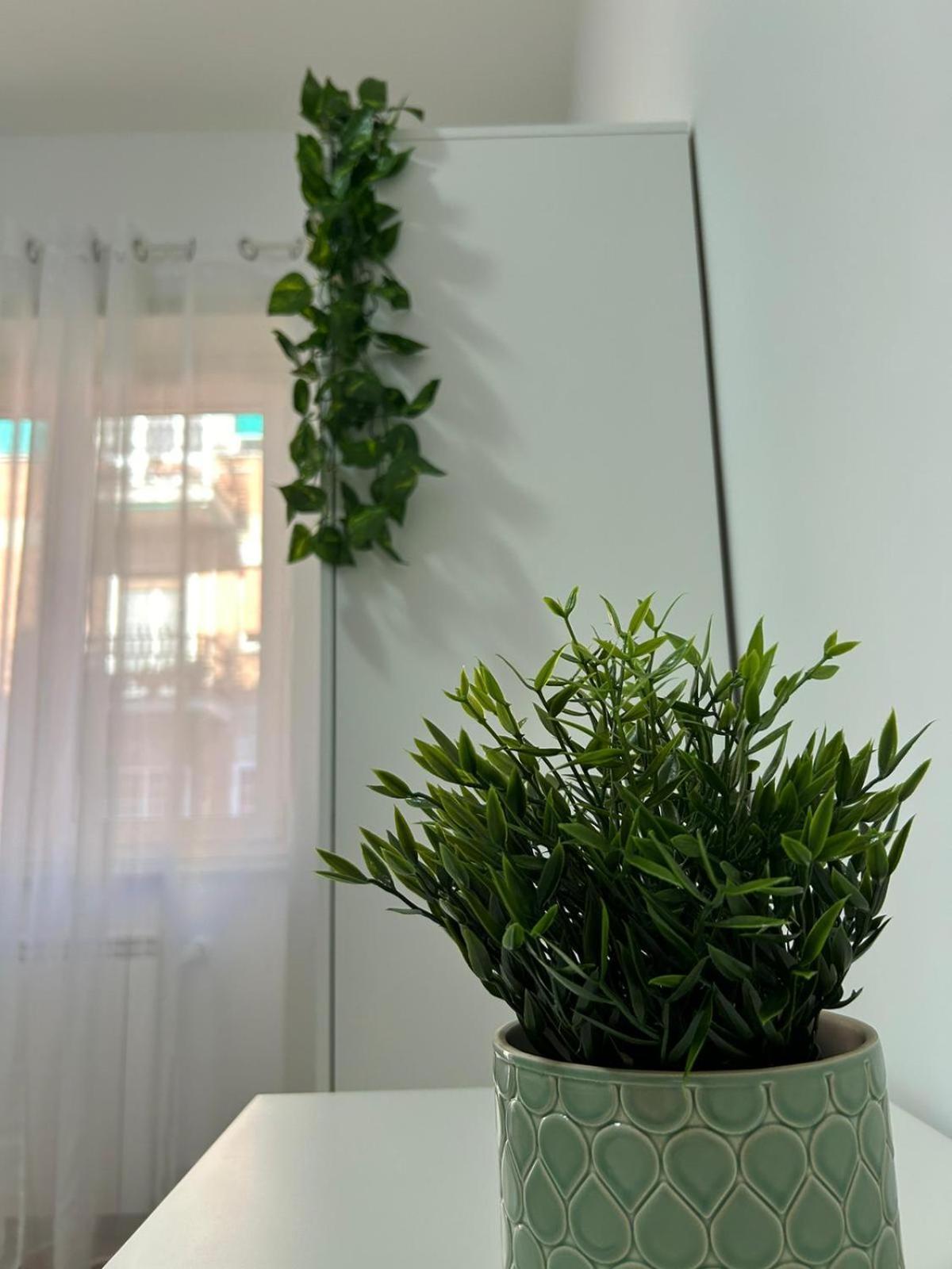 A & F Apartment โรม ภายนอก รูปภาพ